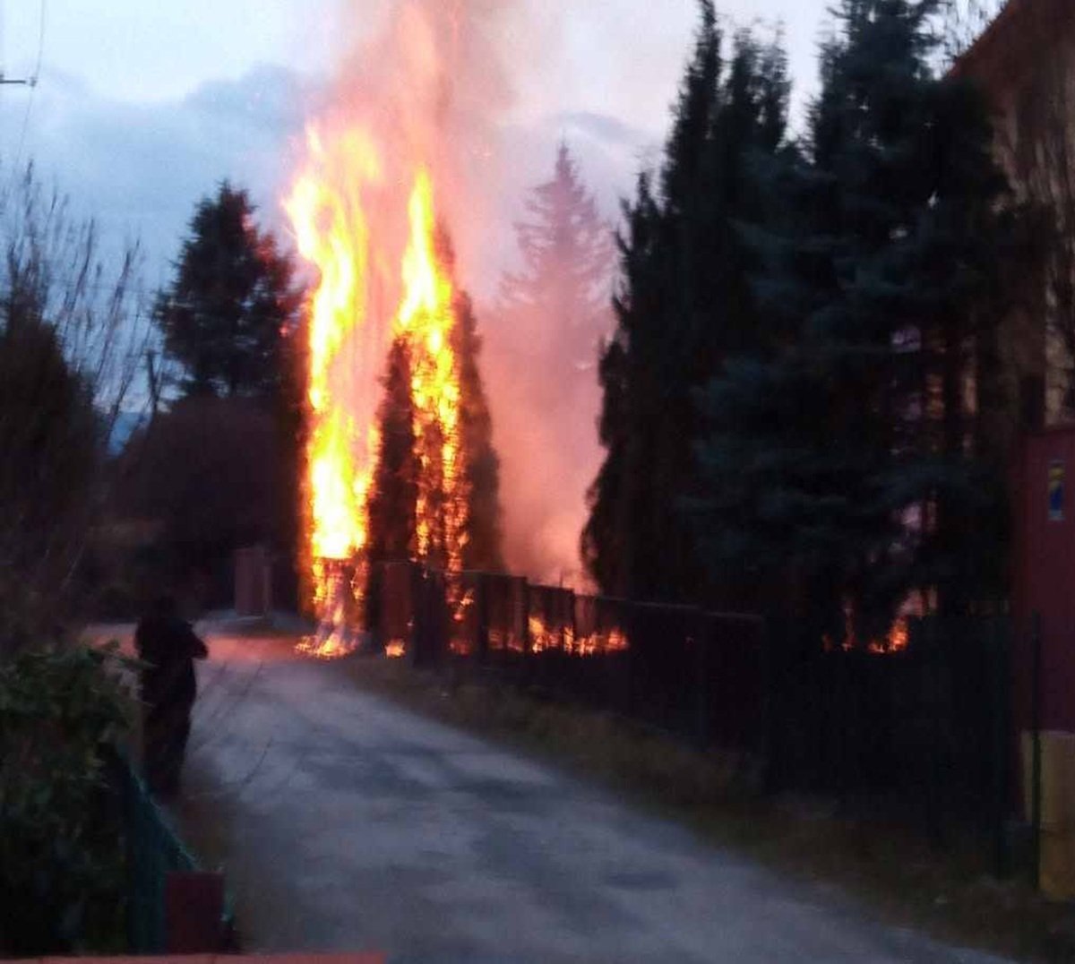 Sytuacja Wymyka Się Spod Kontroli? Przerażające Dane