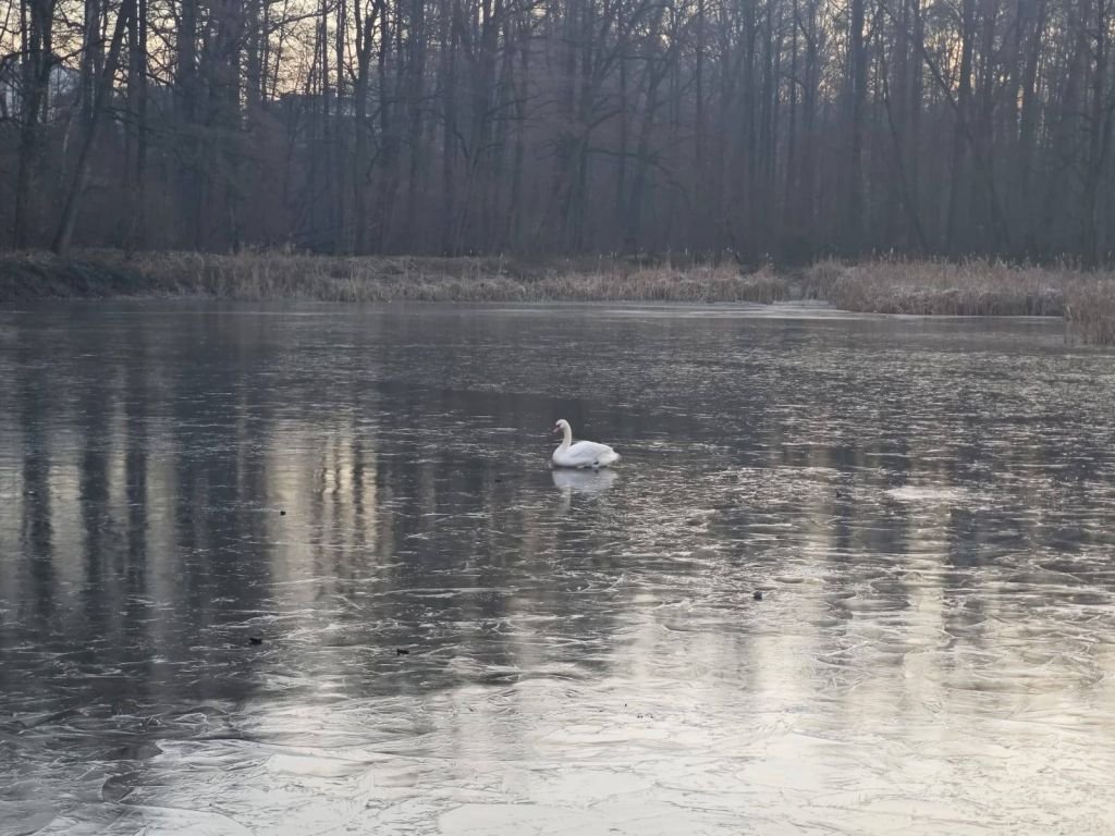 A Jednak Nie Przymarzł