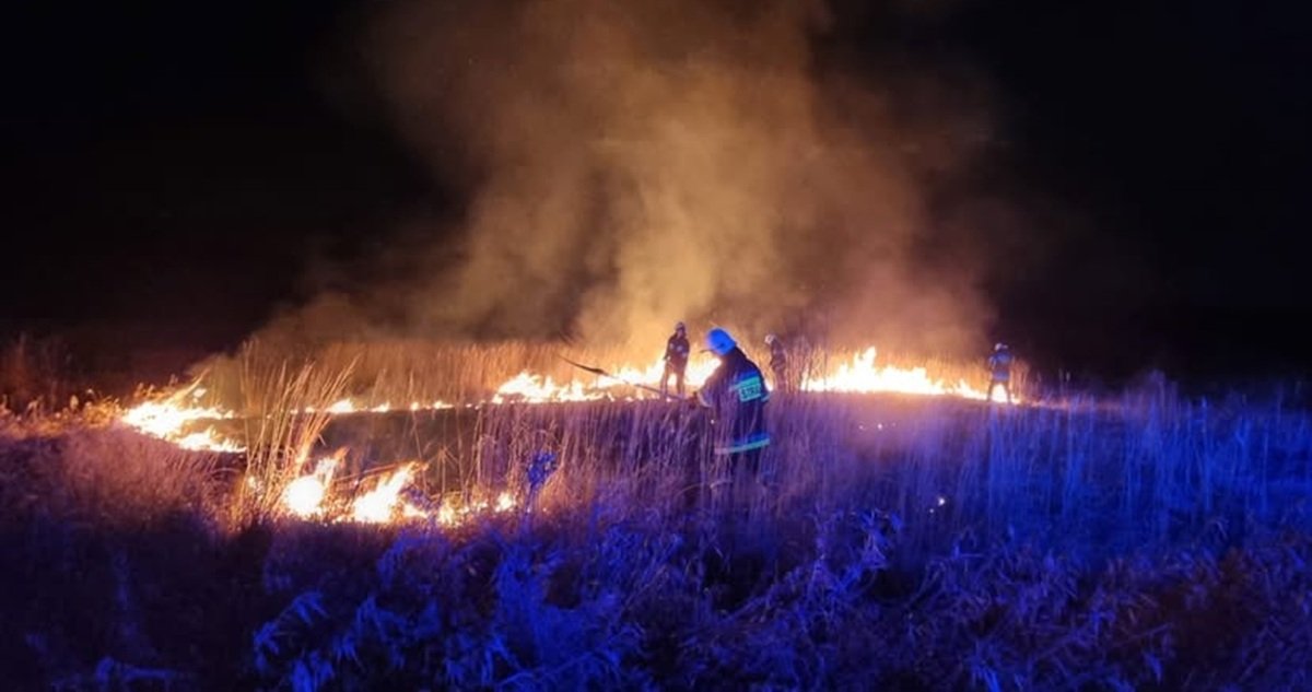 Statystyki Przerażają! Strażacy Udostępnili Najnowsze Dane